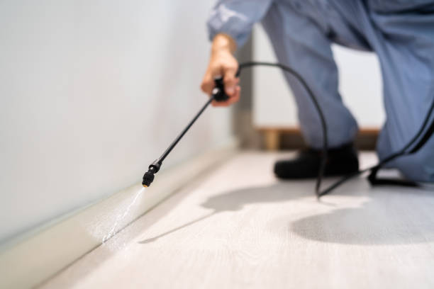 Licensed Rodent Control service in Walker Valley, NY - Nex Pest Control