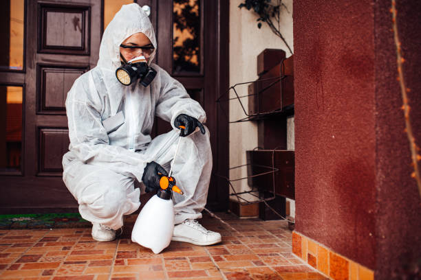 Reliable Rodent Control contractor in Walker Valley, NY by Nex Pest Control