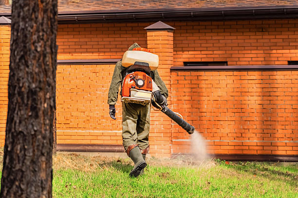 Trusted Bed Bug Control service in Walker Valley, NY - Nex Pest Control